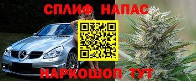 прущие грибы Новодвинск