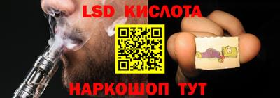 прущие грибы Новодвинск