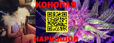 прущие грибы Новодвинск
