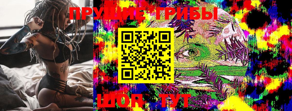 Псилоцибиновые грибы Cubensis  Вход с VPN  Рубцовск  Галлюциногенные грибы Psilocybe 