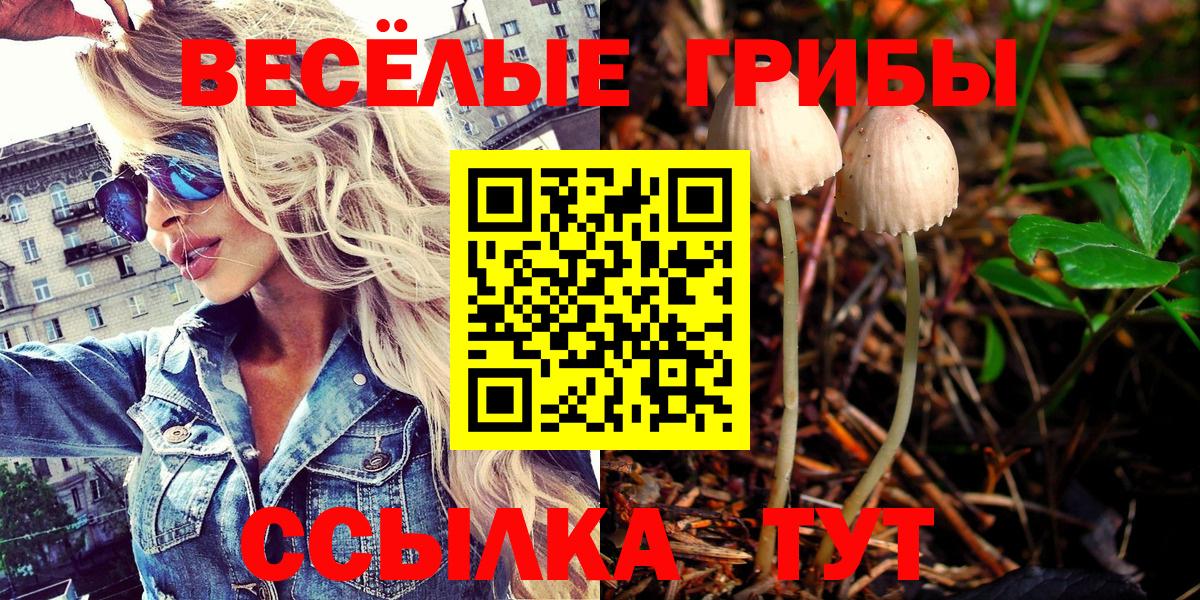 Псилоцибиновые грибы Magic Shrooms Рубцовск