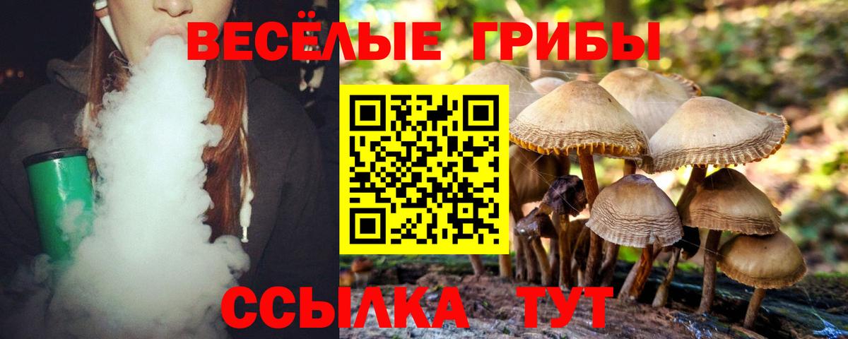 Галлюциногенные грибы Рубцовск